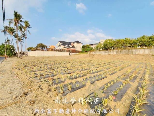 台南關廟農地-3
