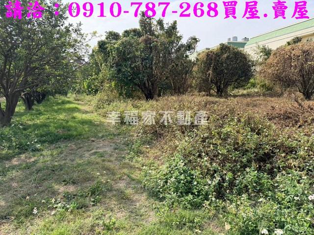 台南麻豆工業地-4