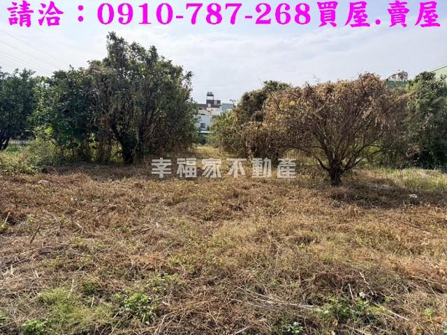 台南麻豆工業地-5