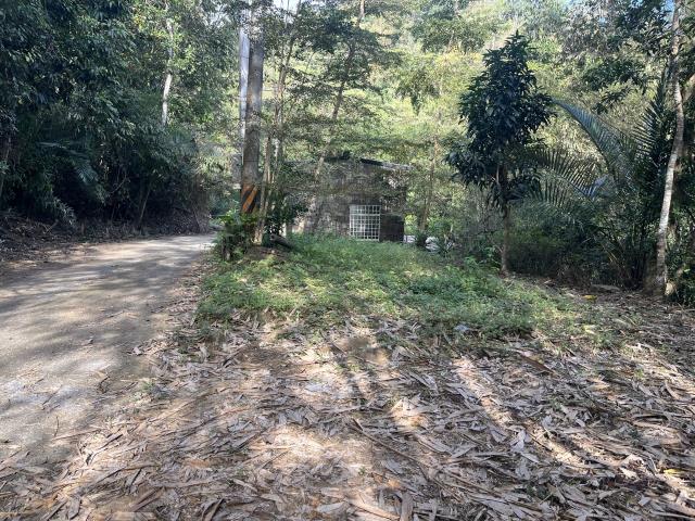 南投鹿谷山坡地-1