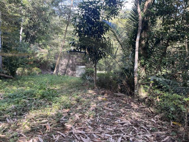 南投鹿谷山坡地-6