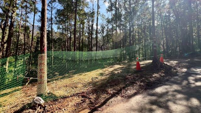 新竹竹東農地-7