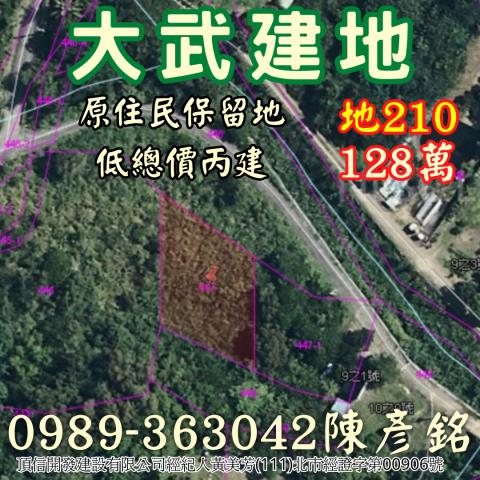 大武建地-4