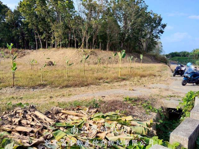 台南農地-6