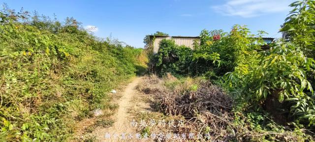 台南農地-8