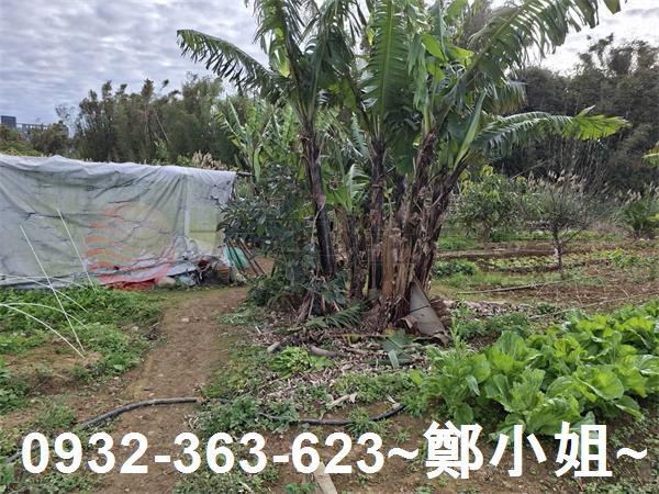 桃園大溪農地-10