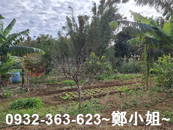 桃園大溪農地-7