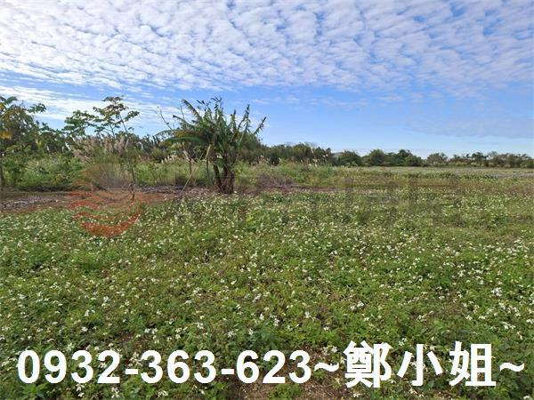 桃園大溪農地-8