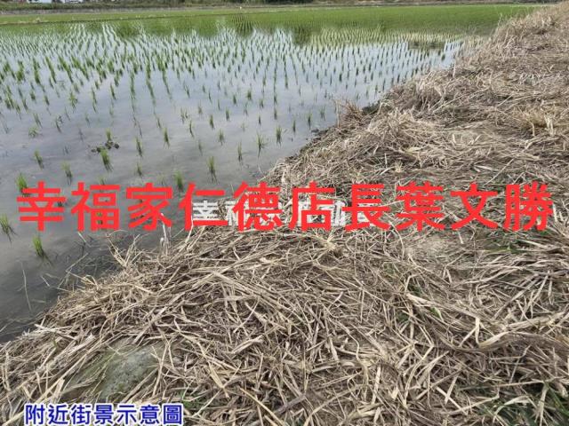 台南麻豆農地-8