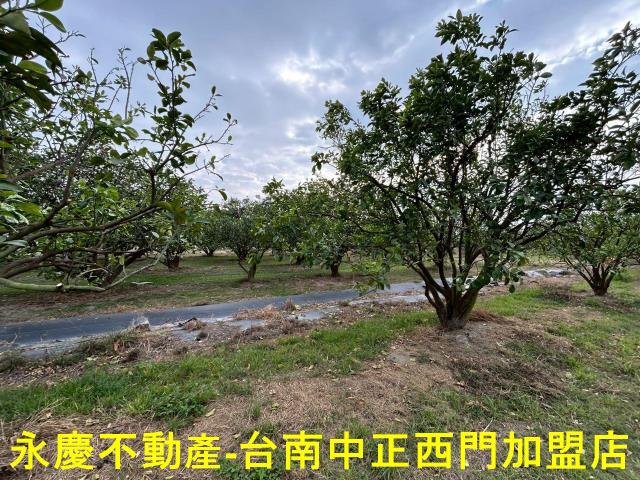 台南麻豆農地-12