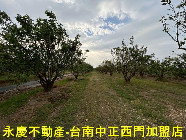 台南麻豆農地-13