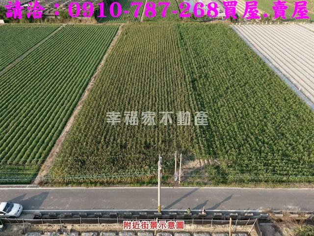 柳營農地-3