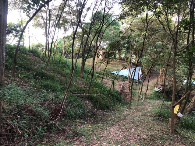 台中太平農地-10