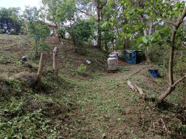 台中太平農地-1