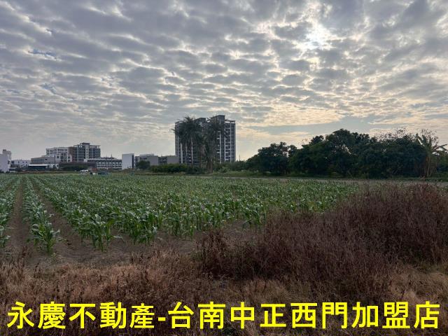 台南安南農地-2