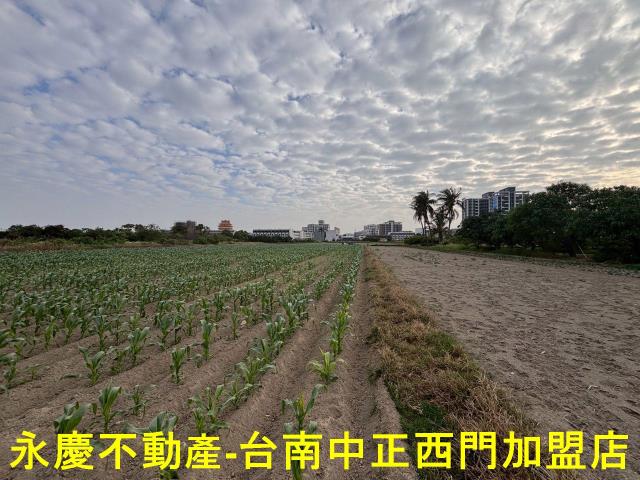 台南安南農地-3