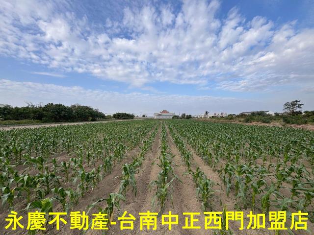 台南安南農地-7