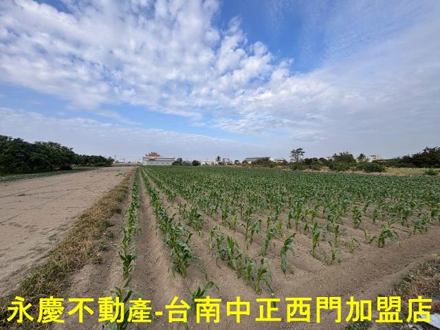 台南安南農地-8