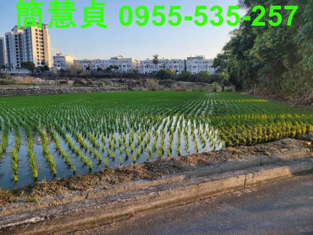 南投草屯農地-1