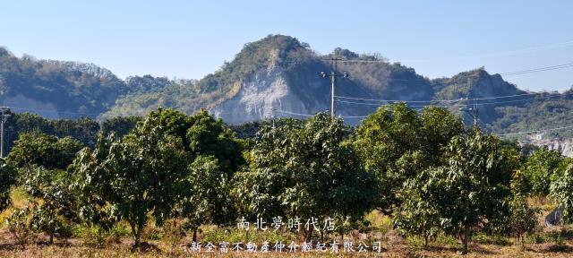 台南玉井農地-6
