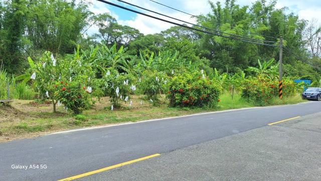 台南左鎮農地-4
