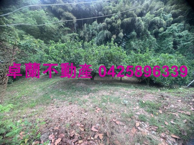 苗栗卓蘭農地-3