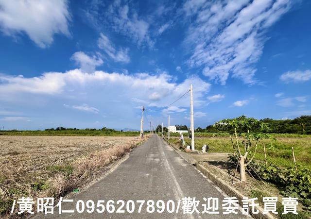 台南善化農地-2