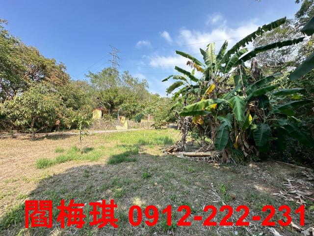 台南楠西農地-4