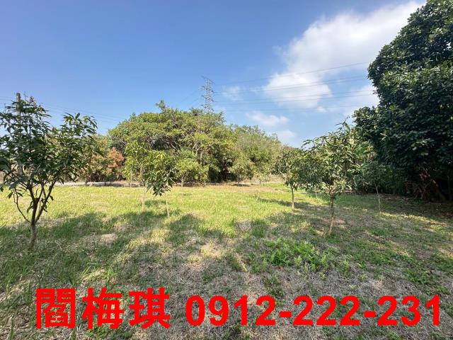 台南楠西農地-5