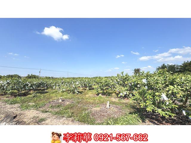 台南玉井農地-7