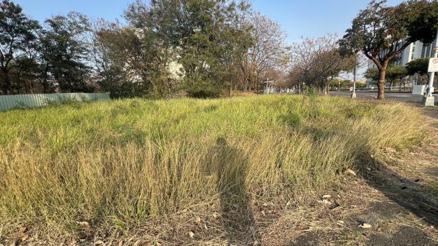 高雄橋頭建地-2