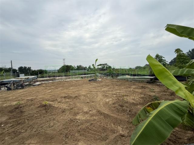 高雄大社農地-3