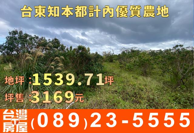 台東台東市農地-12