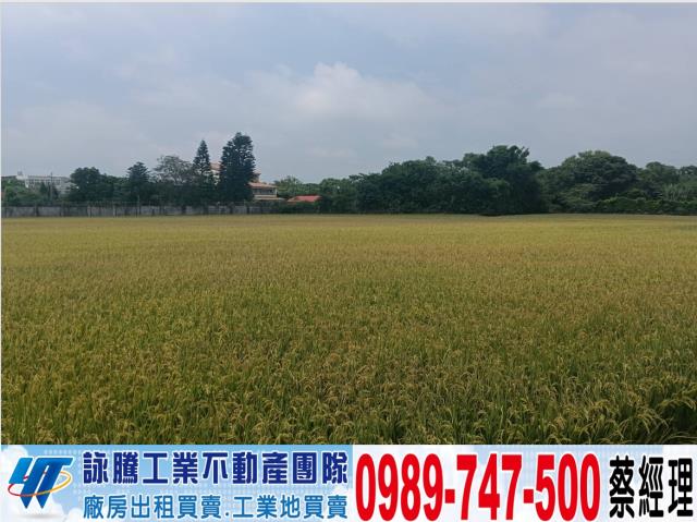 桃園龍潭農地-1