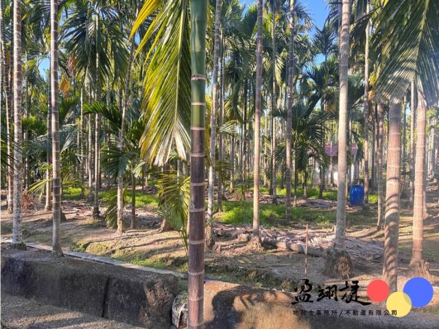 屏東萬巒農地-3