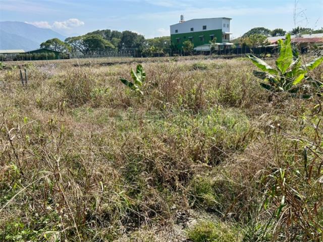 屏東高樹農地-4