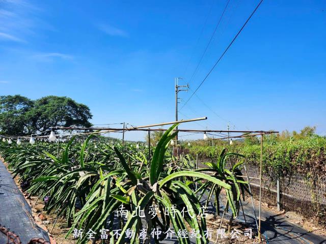 龍崎農地-1