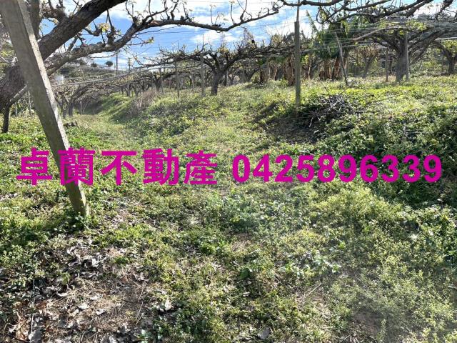 苗栗卓蘭農地-3