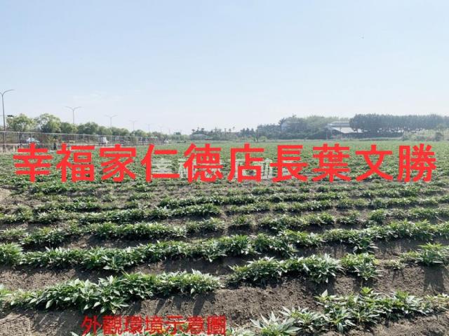 善化農地-5