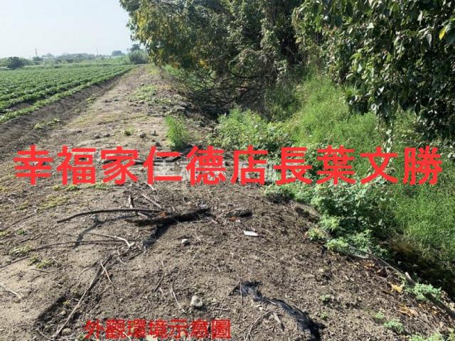 善化農地-6