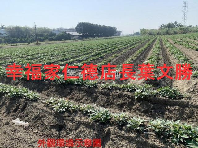 善化農地-15