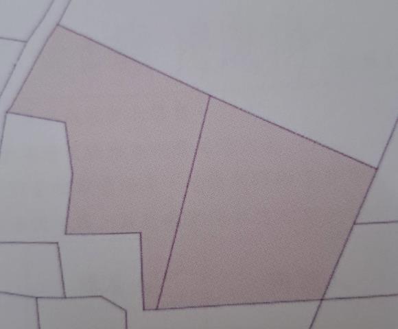 台南仁德農地-5