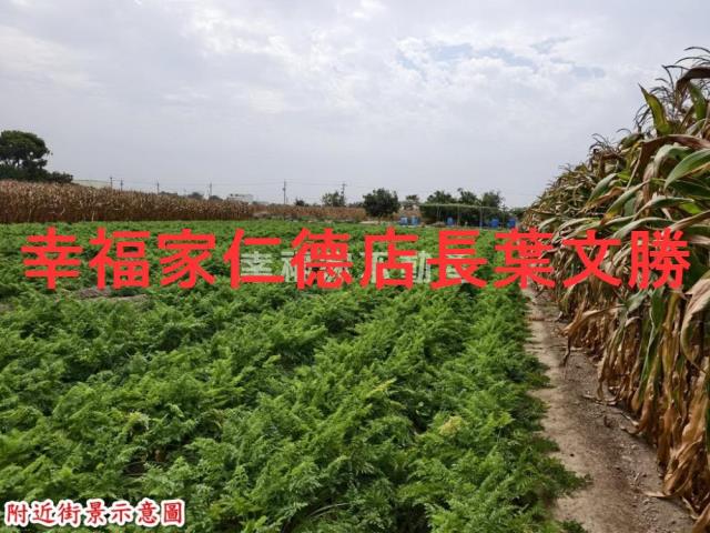 台南安定農地-10