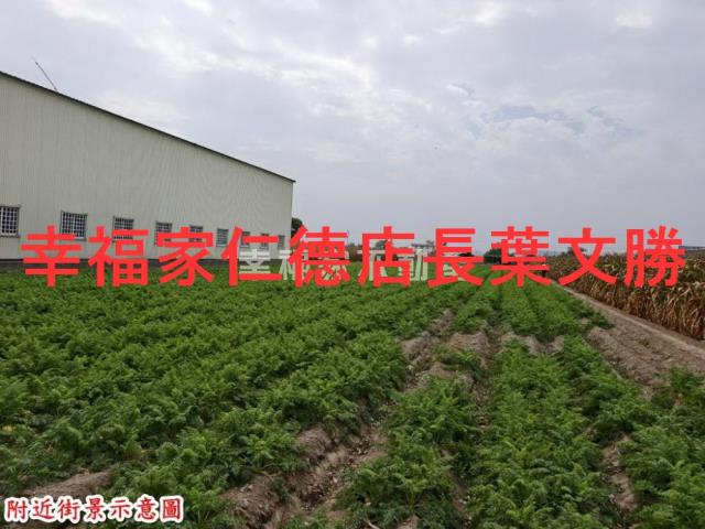 台南安定農地-11