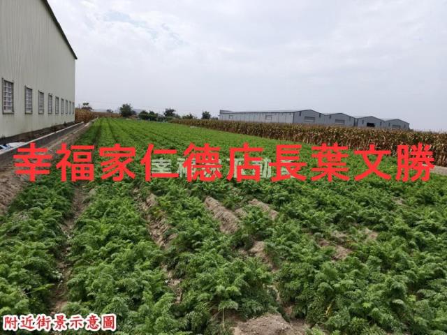 台南安定農地-4