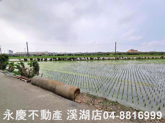 彰化福興農地-5