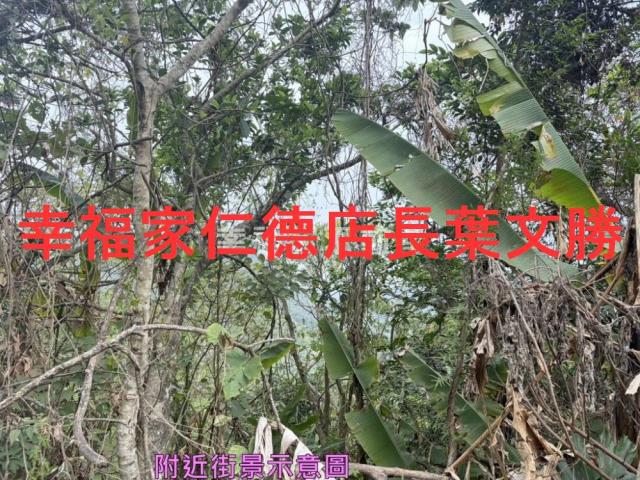 台南白河農地-10