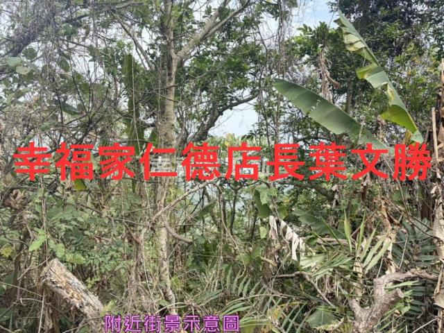 台南白河農地-12