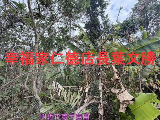 台南白河農地-1