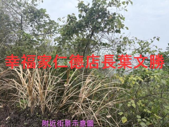 台南白河農地-8